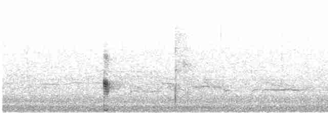 Uroilanda handia - ML619796366