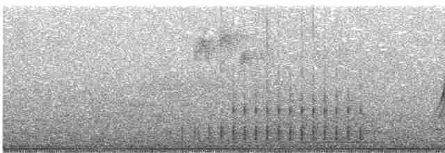 strakapoud osikový (ssp. gairdnerii/turati) - ML619797309