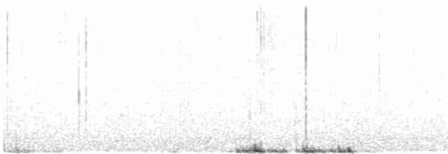 Beringstrandläufer (couesi) - ML619798869