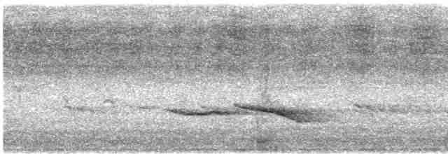 Пятнистогрудая тимелия-говорушка - ML619798973