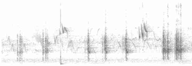Great Reed Warbler - ML619800232