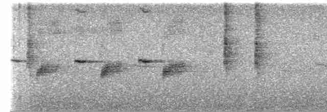 Spotted Flycatcher - ML619800478