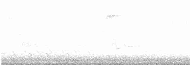Common Yellowthroat - ML619801574