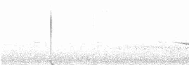 Russet-tailed Thrush - ML619801795