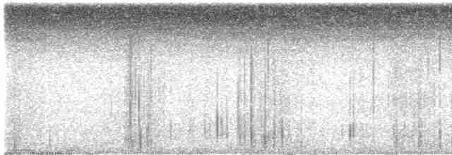 Банкивский петух (Одомашенного вида) - ML619801911