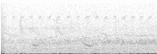 Black-tailed Oriole - ML619803278