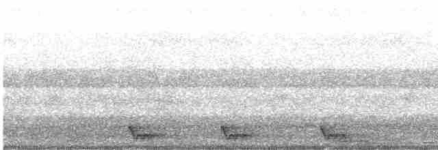 Large-tailed Nightjar - ML619803299