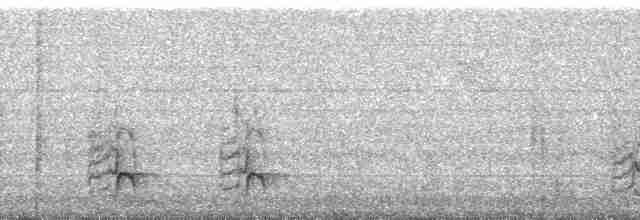 Güneyli Ak Şeritli Karıncakuşu - ML61982