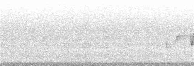 Paruline à gorge grise - ML61993691