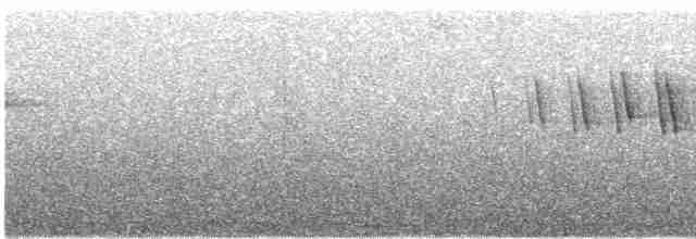 Малая вильсония (chryseola) - ML62006371