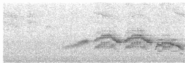 Дрізд-короткодзьоб бурий - ML62021691