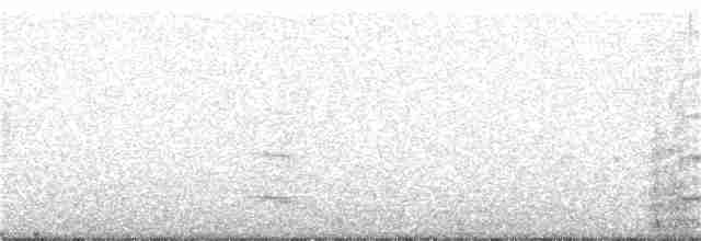 Серогрудый питуи - ML62037001