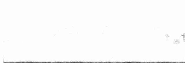 Black-throated Gray Warbler - ML62045691