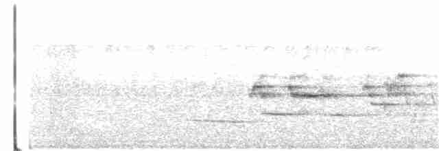 Дрізд-короткодзьоб плямистоволий - ML62047611