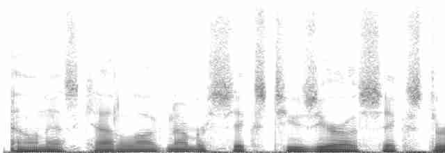 Grauband-Ameisenvogel - ML62063