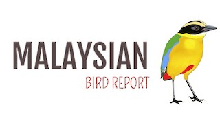 Malaysian Bird Report