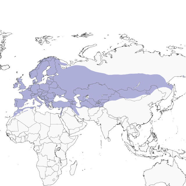 Distribution of the Great Tit - Great Tit - 