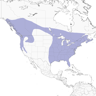 Distribution of the Barred Owl - Range Map