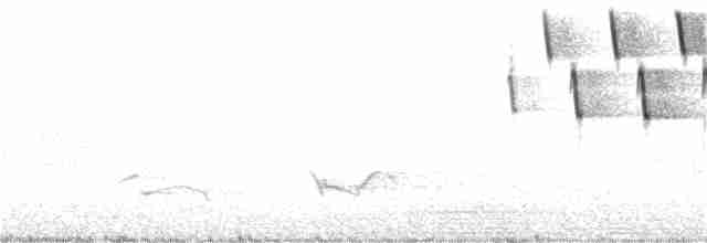 Tennessee Warbler - ML62127511