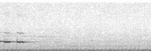 Graubrust-Ameisendrossel - ML62133