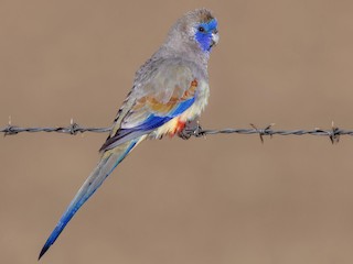 Batafsil birinchi jinsiy aloqa haqida chiroyli hikoya