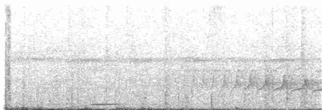 holub bledoprsý - ML62148731