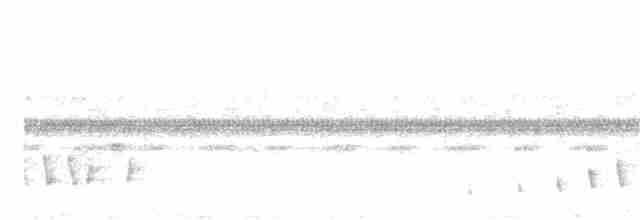 Buff-collared Nightjar - ML62155201