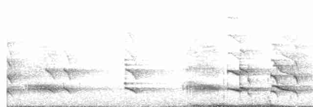Желтогорлый тукан - ML62156431