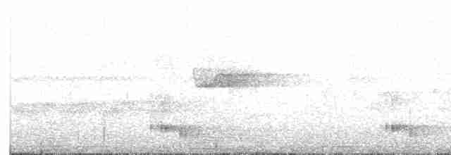 tukan hnědošíjný - ML62156581