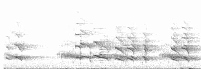 Toucan du Choco - ML62157011