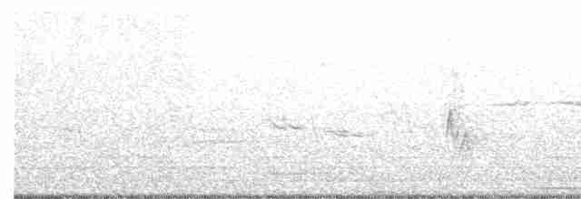 Prairie Warbler - ML62175391