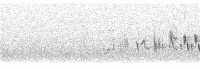 Кропив'янка прудка (підвид curruca/blythi/hamertoni) - ML62184201