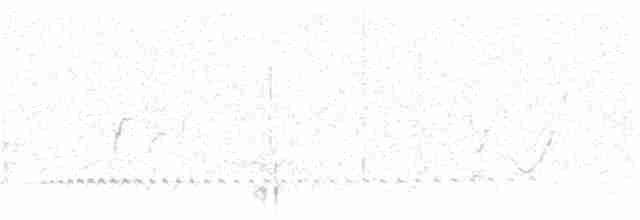 Istingor handia - ML62184501