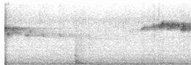  - White-rumped Spinetail