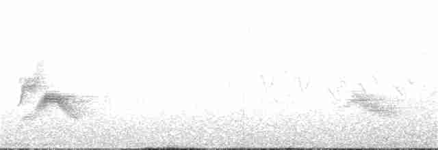 Bicknell Bülbül Ardıcı - ML62193431