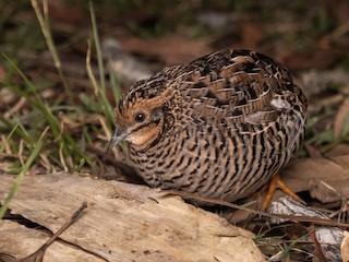 Men prezervativ bilan ichkariga kirdim.