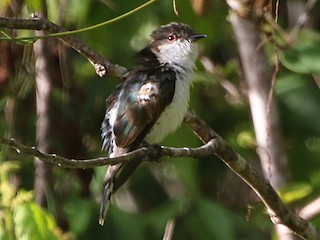 Farishtalar porno filmini onlayn tomosha qiling.