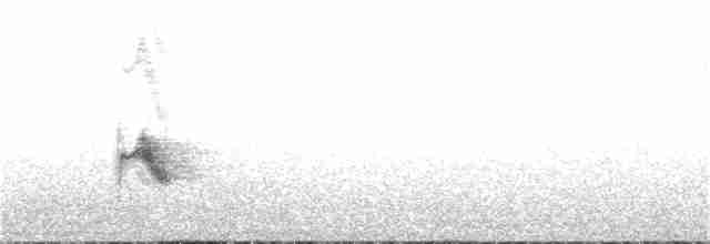 Bicknell Bülbül Ardıcı - ML62210871