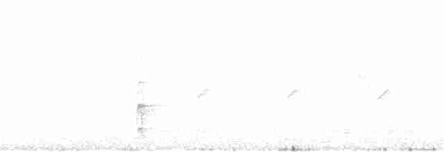 White-backed Woodpecker - ML62256191