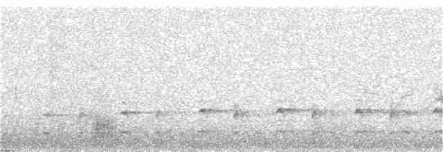 חרטומית ביצות - ML62264561