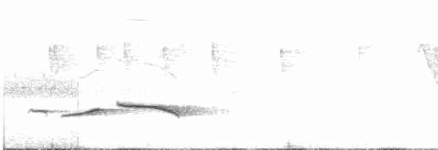 ML62270101 visualization