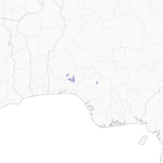 Distribution of the Ibadan Malimbe - Range Map