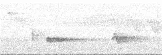 Чернокрылая пиранга - ML62346771