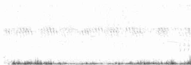 Прерийный кроншнеп - ML62358771