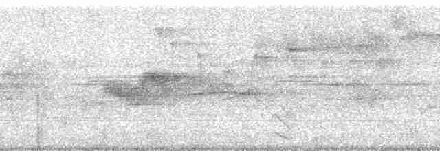 Grallaire à poitrine rousse (ferrugineipectus) - ML62402