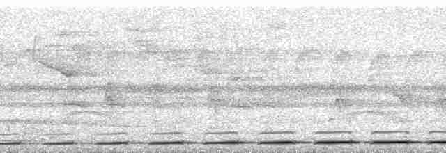 Ockerbart-Ameisenpitta - ML62441