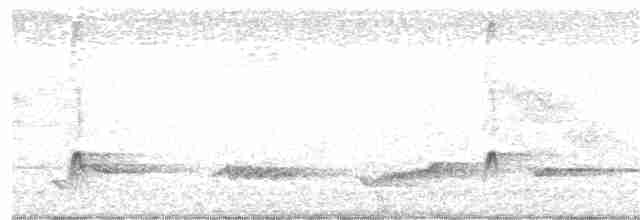 Brown-crested Flycatcher (Ometepe) - ML62444621