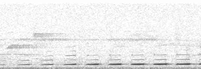 Ockerbart-Ameisenpitta - ML62448