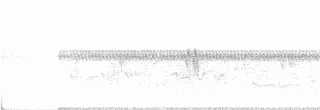 Oriole des vergers - ML62455181