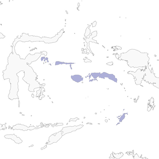 Distribution of the Moluccan Whistler - Range Map